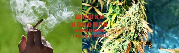 ПСИЛОЦИБИНОВЫЕ ГРИБЫ Кодинск