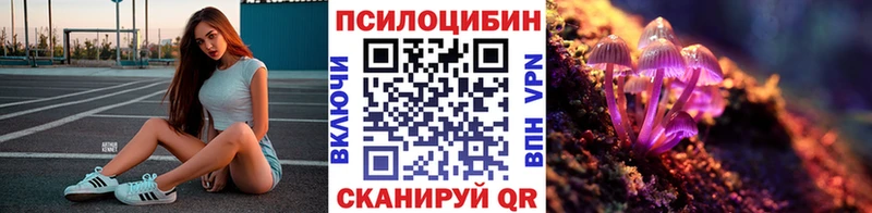 MEGA маркетплейс  darknet какой сайт  Псилоцибиновые грибы ЛСД  Хвалынск 